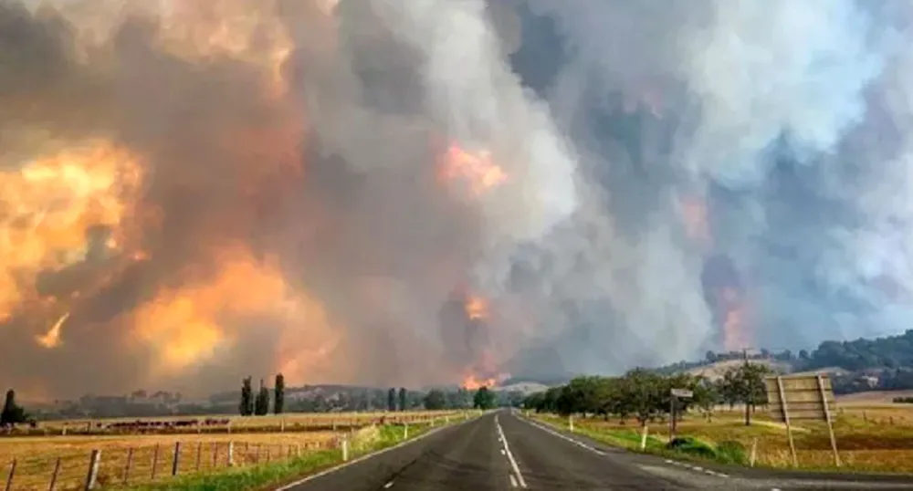 Australia: Hàng ngàn người bị mắc kẹt do cháy rừng