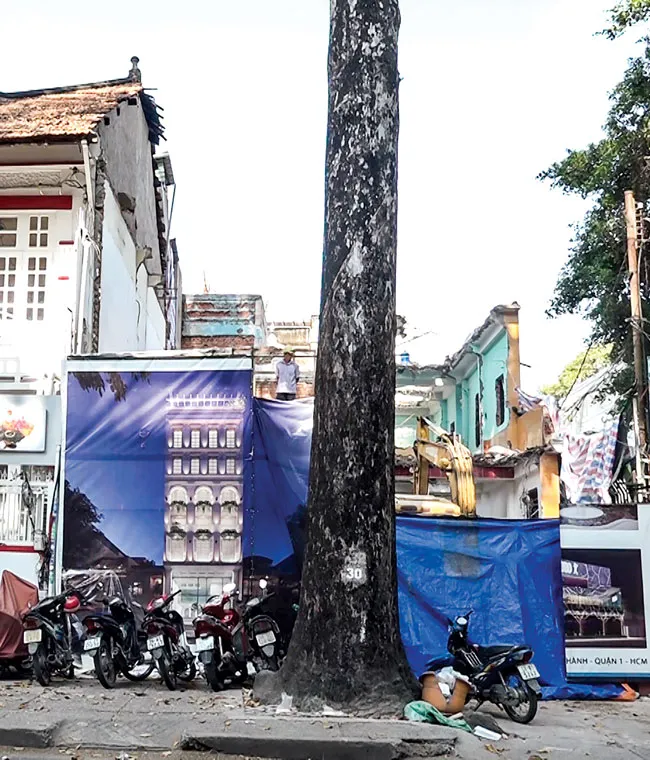 Bảo tồn biệt thự cổ trên… giấy ảnh 1