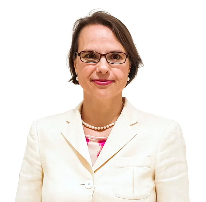 Ngôi nhà Đức tại TP Hồ Chí Minh ảnh 1