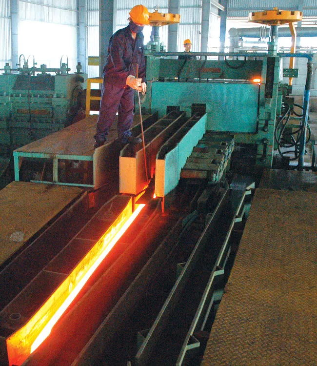 Hàng Việt trước sức ép phòng vệ thương mại ảnh 2