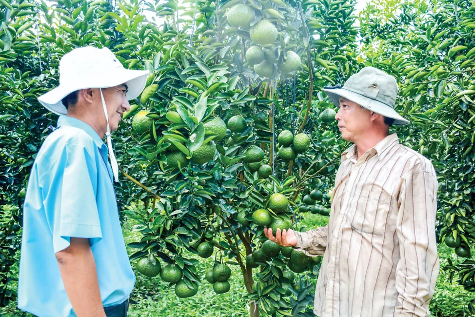 Dấu ấn nông thôn mới ảnh 2