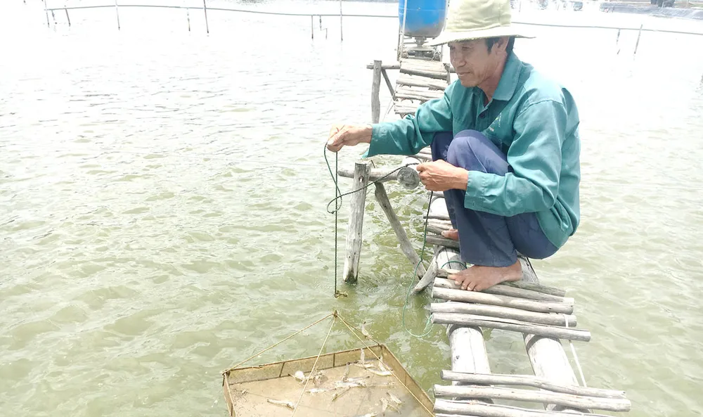 Đào tạo nghề lao động nông thôn thời 4.0 ảnh 1