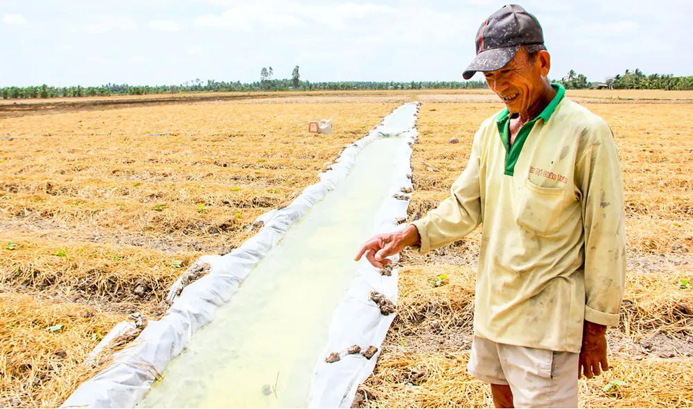 Hạn mặn có đáng sợ? ảnh 1