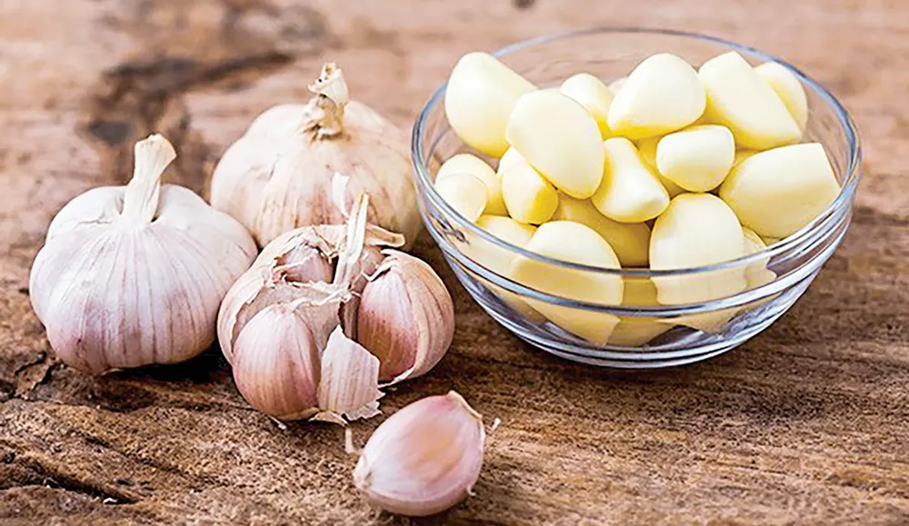 Dược liệu tăng cường miễn dịch mùa cúm ảnh 3