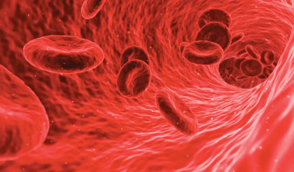 AI trong cuộc sống hàng ngày ảnh 3