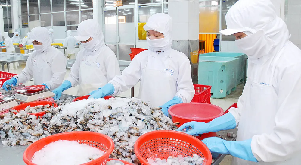 Qua một năm thực hiện CPTPP: Tăng trưởng xuất khẩu chưa như kỳ vọng ảnh 1