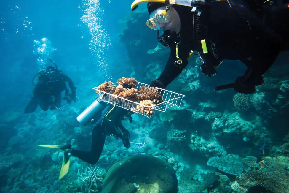 Công nghệ giúp bảo vệ môi trường và động vật hoang dã ảnh 2