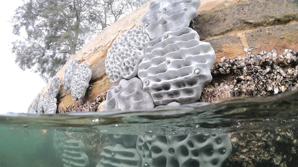 Công nghệ giúp bảo vệ môi trường và động vật hoang dã ảnh 3