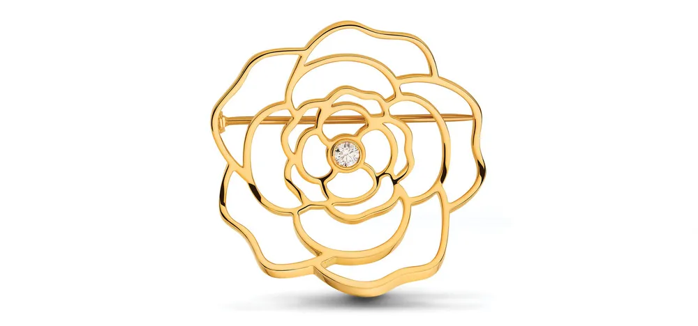 Trâm cài áo thiên nhiên quyến rũ ảnh 1