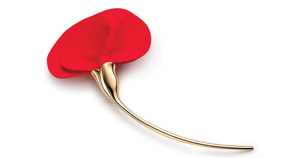 Trâm cài áo thiên nhiên quyến rũ ảnh 2