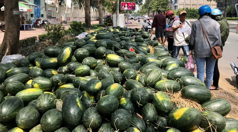 Selling agriculture produce still volatile 