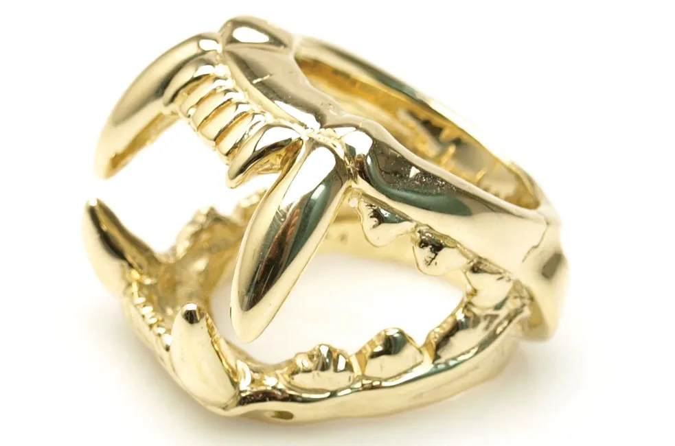 Phụ kiện hoang dã và phóng khoáng ảnh 6