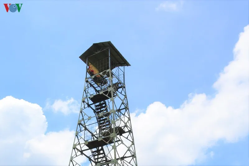 anh: "canh lua" noi dat rung u minh ha hinh 10