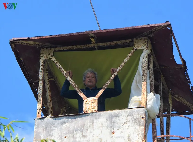 anh: "canh lua" noi dat rung u minh ha hinh 11