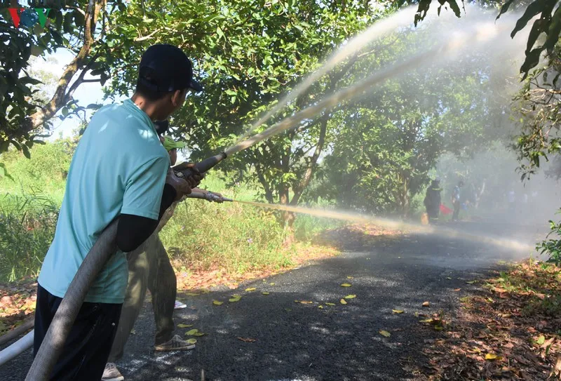 anh: "canh lua" noi dat rung u minh ha hinh 13