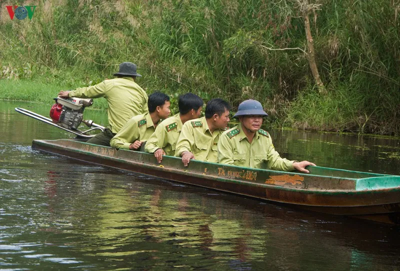 anh: "canh lua" noi dat rung u minh ha hinh 6