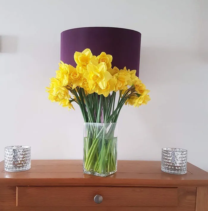 10 cach don gian khien ban hanh phuc hon khi phai o nha vi covid-19 hinh 1