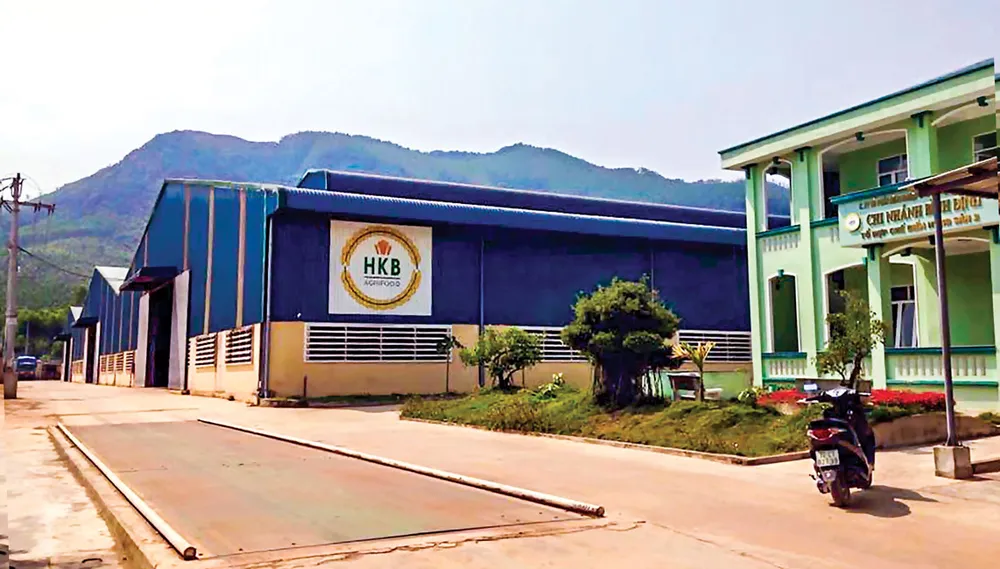 Những cổ phiếu một thời…: HKB - Mịt mờ hồi phục ảnh 1