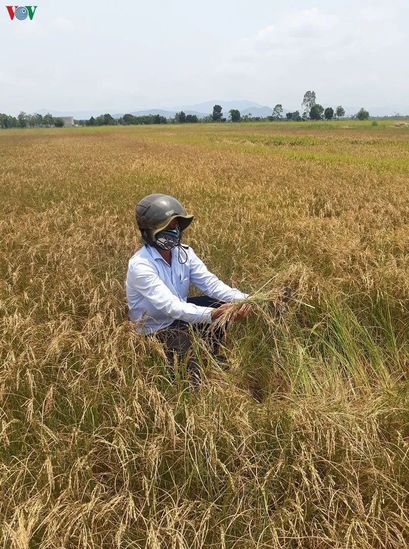 han han keo dai, nguoi dan chat chiu tung giot nuoc hinh 3