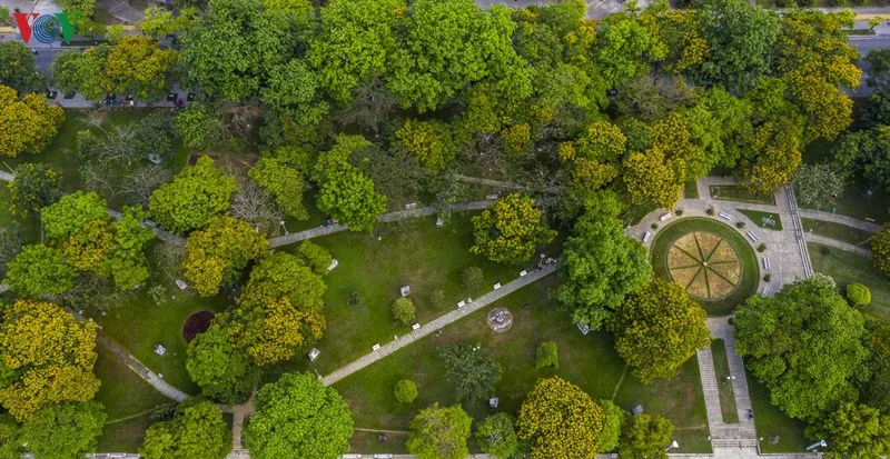 lang thang mua diep vang xu hue hinh 10