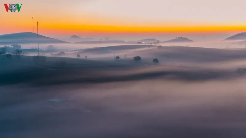 ngam nhung doi che dep tho mong tren cao nguyen moc chau hinh 1