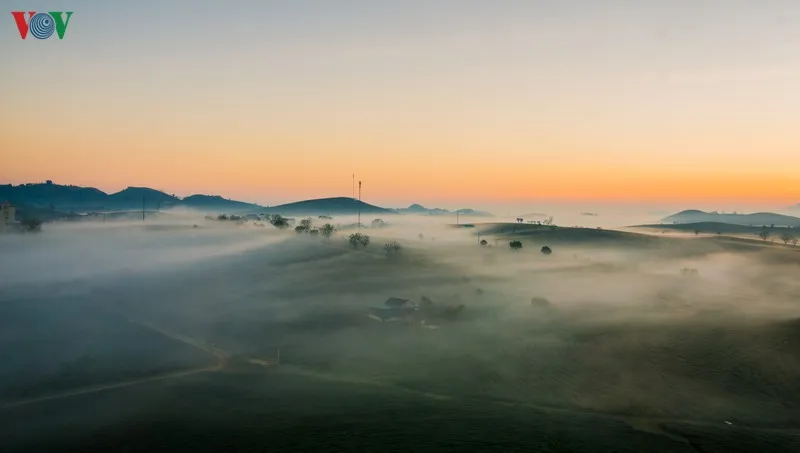 ngam nhung doi che dep tho mong tren cao nguyen moc chau hinh 3