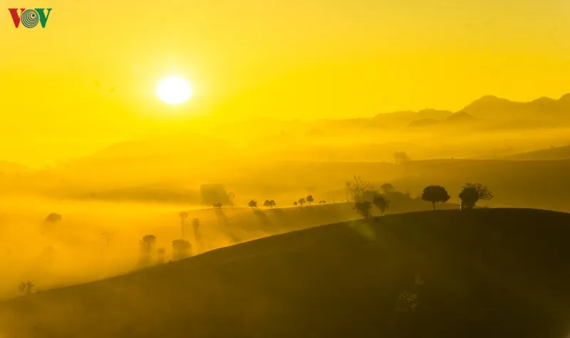 ngam nhung doi che dep tho mong tren cao nguyen moc chau hinh 5