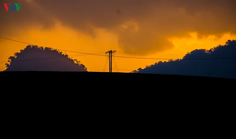ngam nhung doi che dep tho mong tren cao nguyen moc chau hinh 13