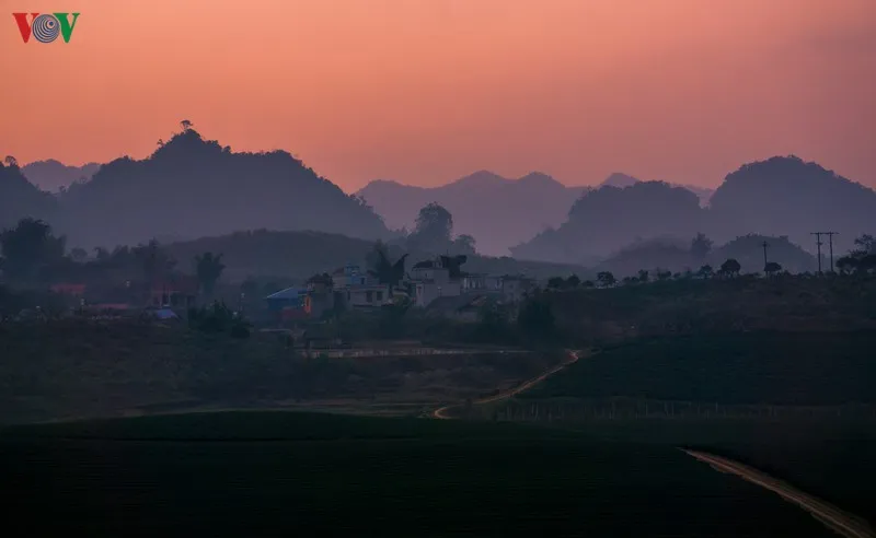 ngam nhung doi che dep tho mong tren cao nguyen moc chau hinh 14