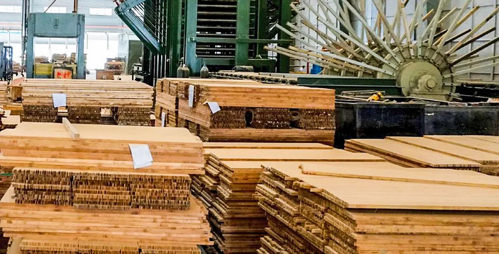 SJF - Cú “bổ nhào” lịch sử ảnh 1