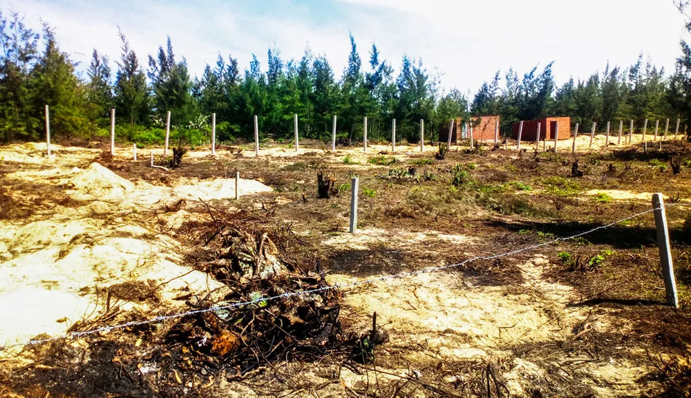 Đất công Khu kinh tế Nhơn Hội bị “xâu xé” ảnh 1