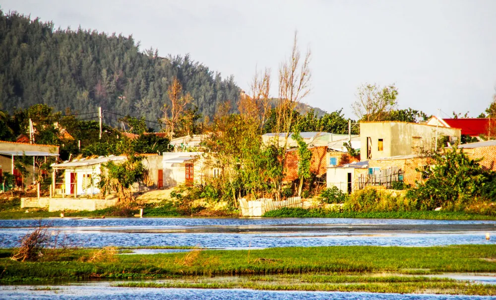 Đất công Khu kinh tế Nhơn Hội bị “xâu xé” ảnh 2