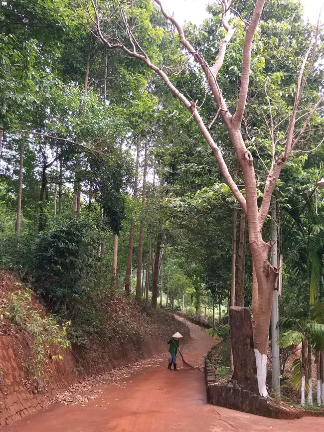 Khám phá khu du lịch sinh thái Mỹ Lệ ảnh 2