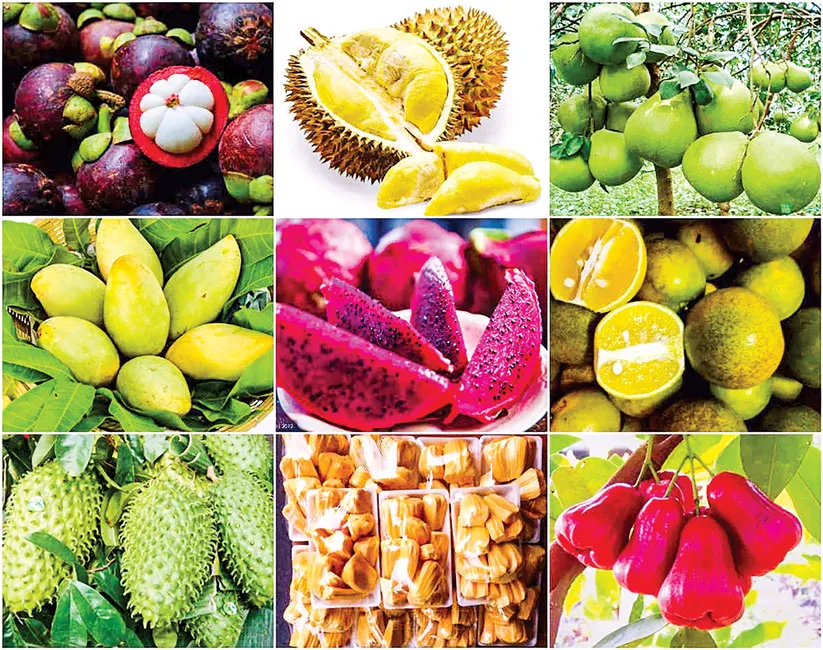  “Chìa khóa” làm giàu: Xuất khẩu nông sản ảnh 1