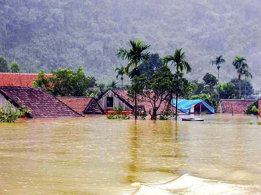 Nỗi ưu tư về thiên nhiên bị ngược đãi ảnh 2