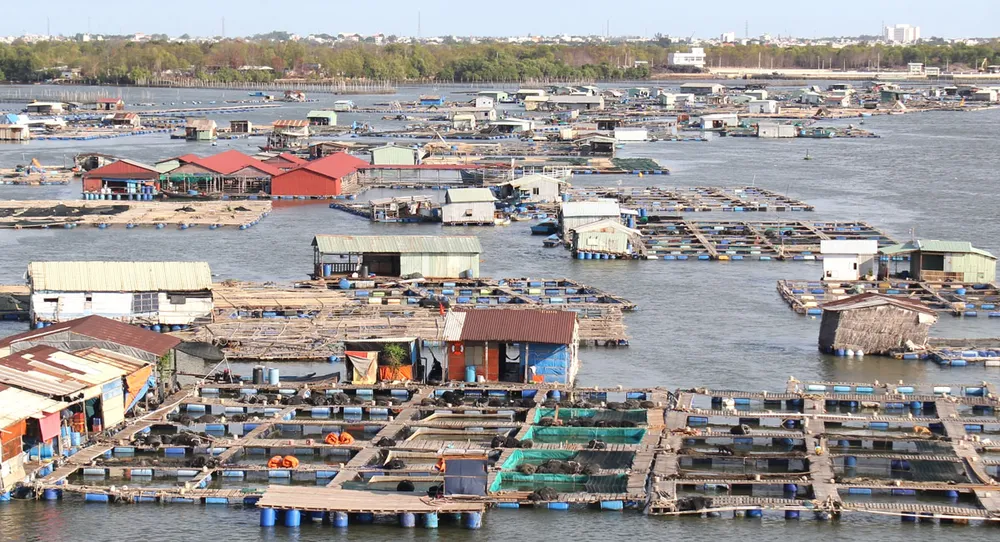 Phát triển bền vững nuôi trồng thủy sản ảnh 1