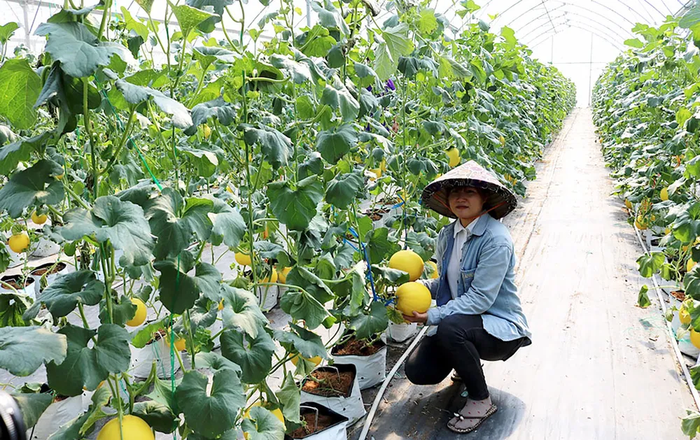 Điểm đến hấp dẫn nhà đầu tư ảnh 1