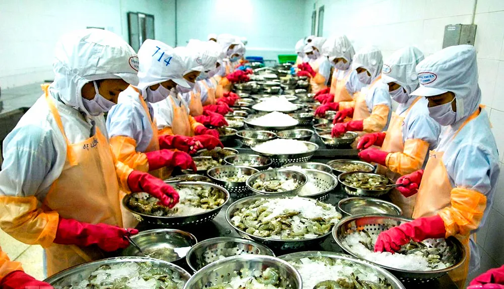 Chông chênh tận dụng lợi thế EVFTA ảnh 1