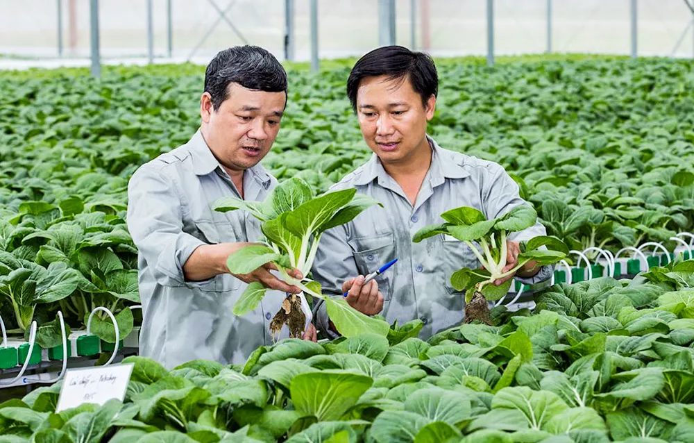 Tập trung hỗ trợ nhóm sản xuất ảnh 1