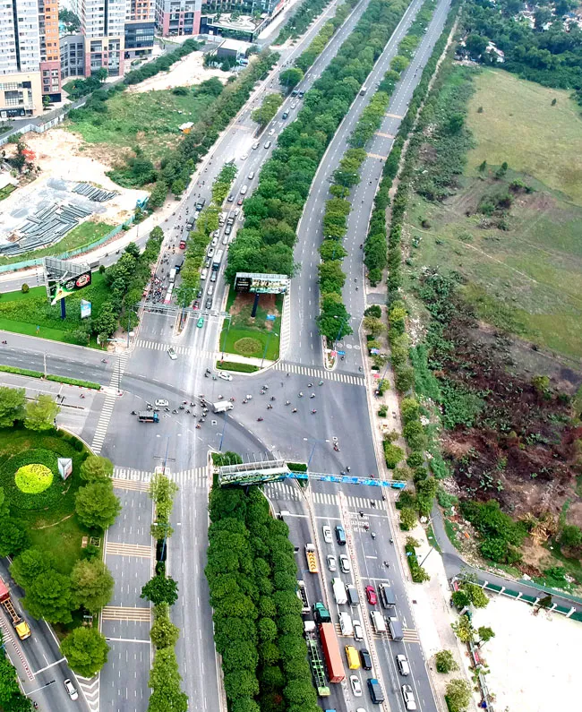 Ngăn ngừa cây xanh đường phố gãy đổ ảnh 1