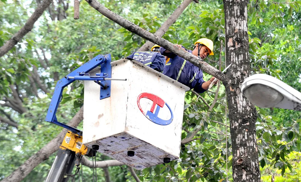 TPHCM triển khai nhiều giải pháp đảm bảo an toàn trường học ảnh 1