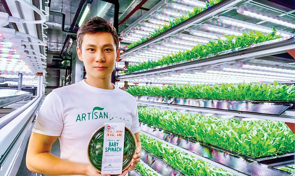 Bỏ chủ sòng bài làm nông nghiệp đô thị ảnh 1