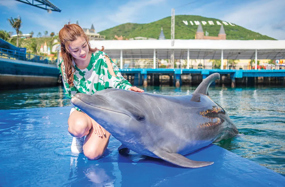 Trải nghiệm du lịch trong một quần thể ảnh 2