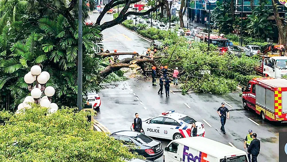 Singapore - Thách thức tầm nhìn xanh ảnh 1