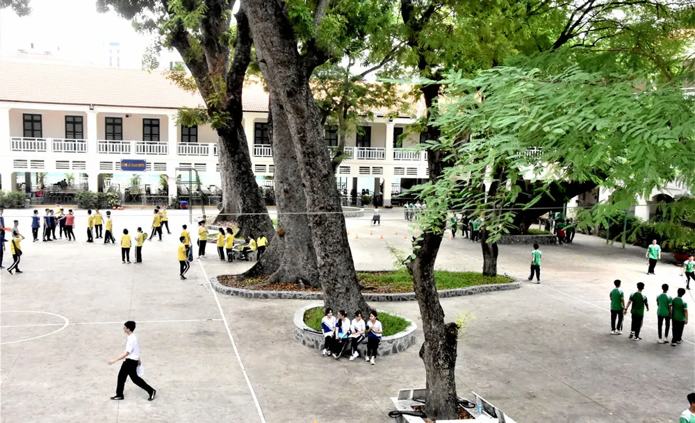 Tìm giải pháp tối ưu quản lý cây xanh trong trường học ảnh 1