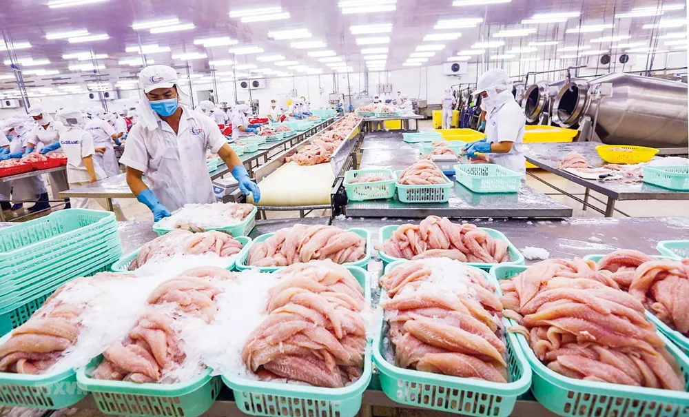 “Rào ngoại” chưa xong, “rào nội” dựng lên ảnh 1