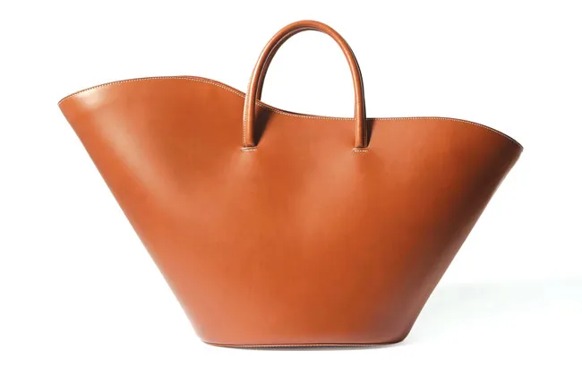 Túi xách công sở cho phái đẹp ảnh 5