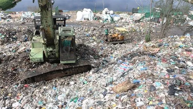 Dien rac - bai toan kinh te hay moi truong doi voi Viet Nam? hinh anh 2