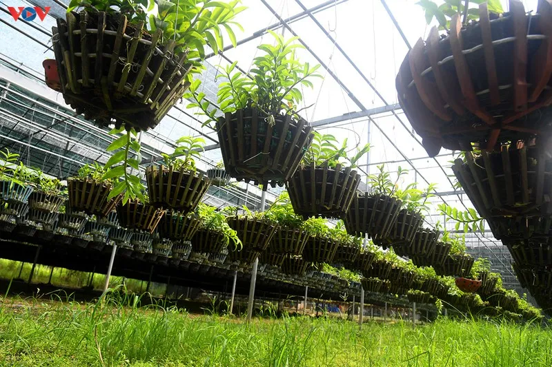 giao dich "khung" ve lan dot bien co tin duoc khong? hinh 5