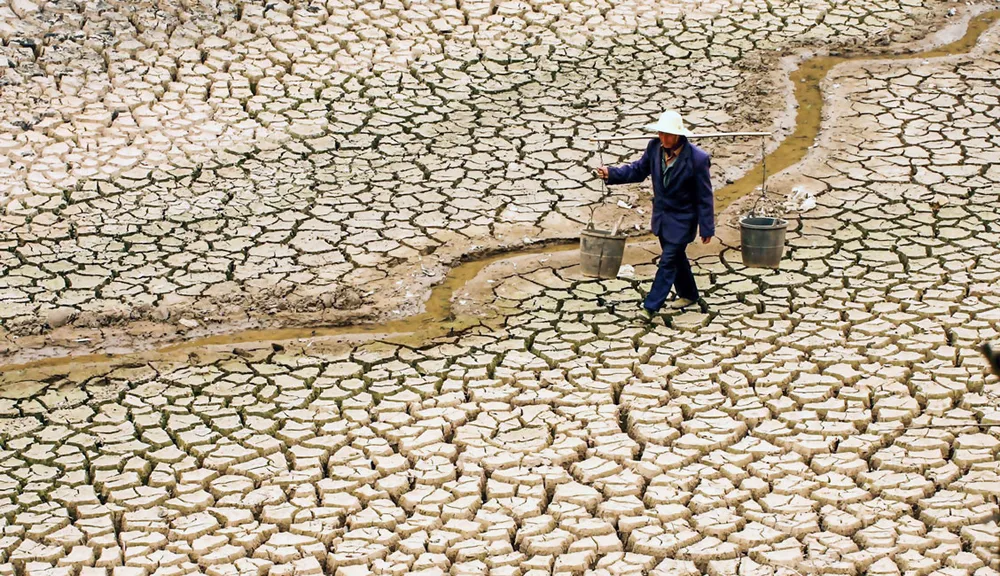 Trung Quốc 2020 - Năm của những thảm họa và dị tượng ảnh 3